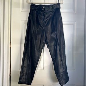 Babaton Leather Pants